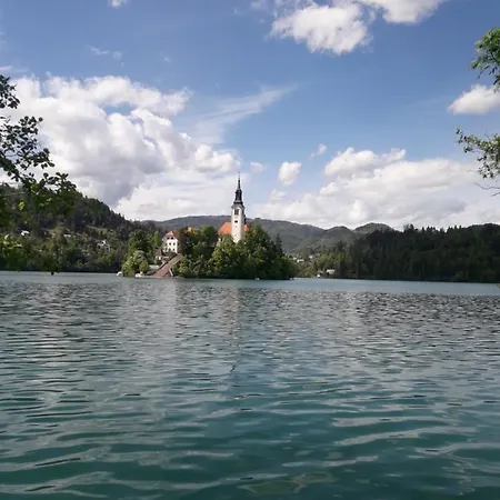 Justin 아파트 블레드