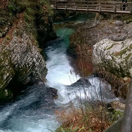 아파트 Justin 블레드