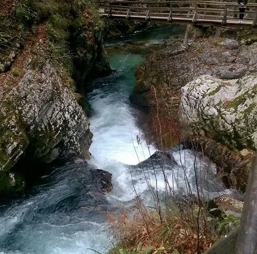 Apartment Justin Bled